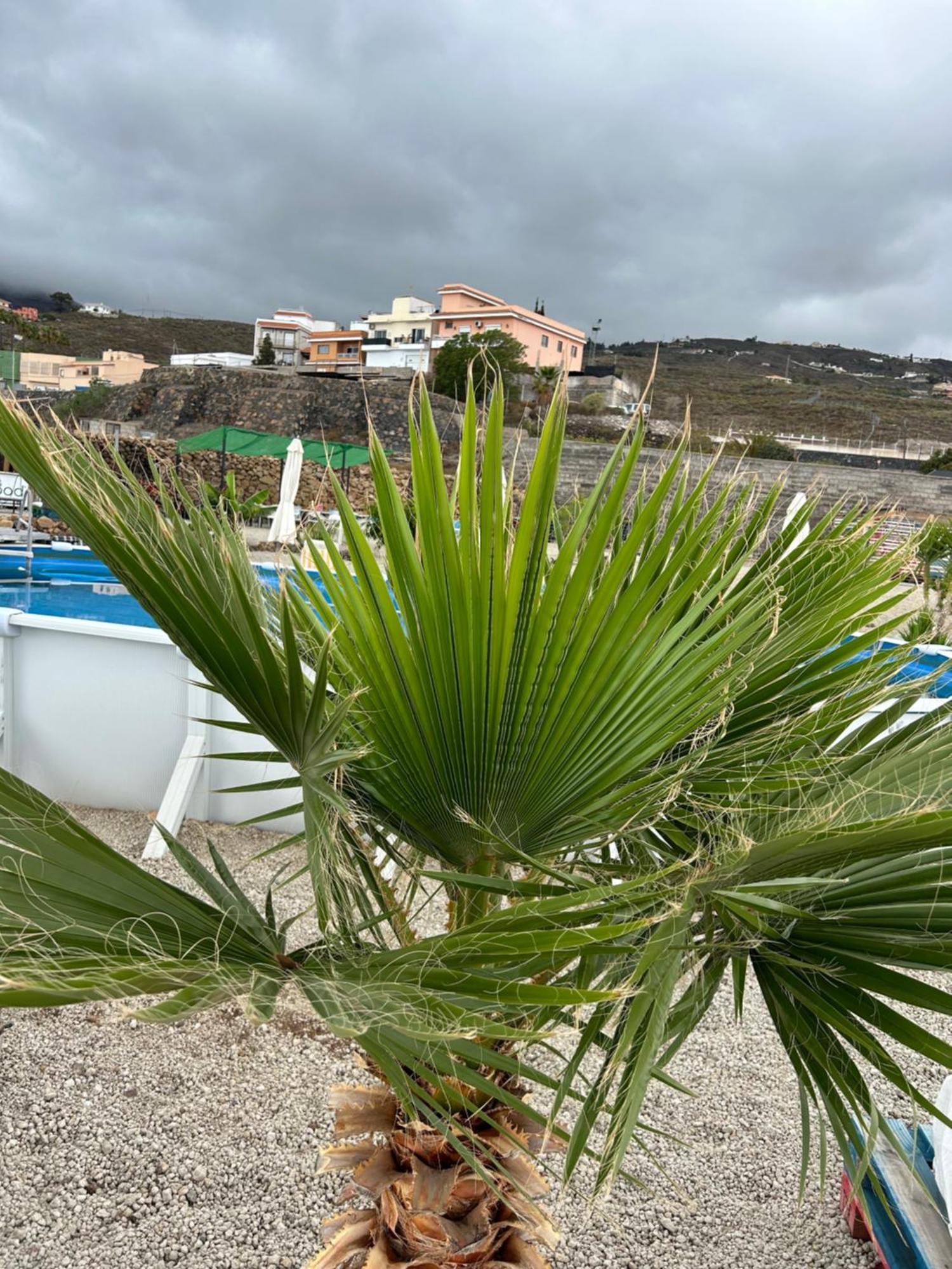 Appartement Casa Mirador à Arona  Extérieur photo