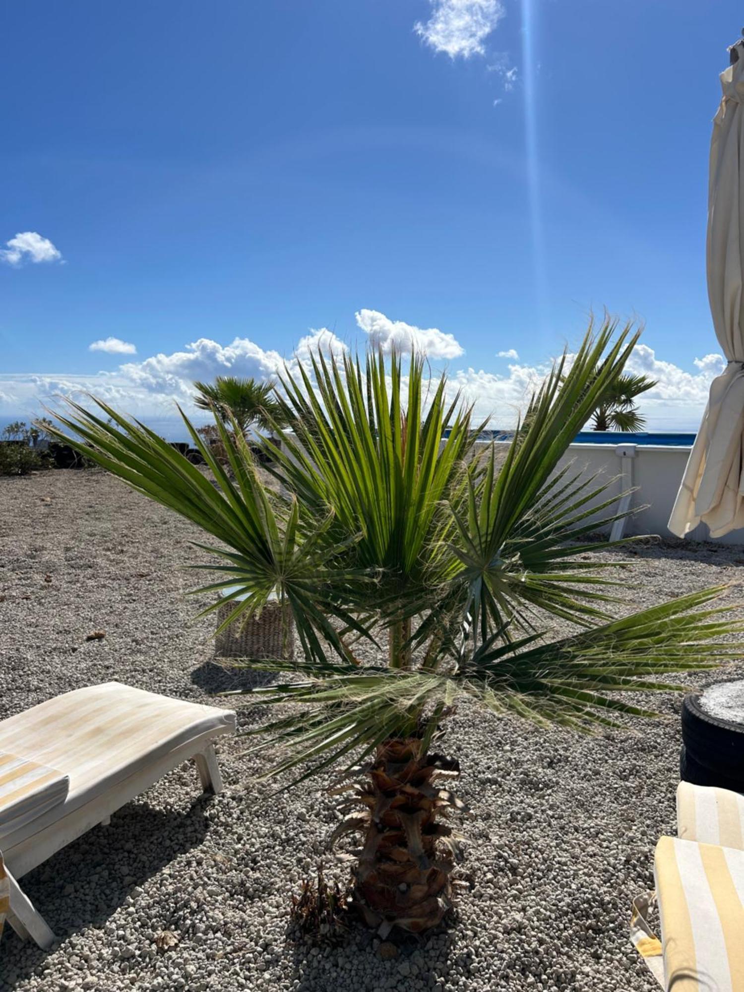 Appartement Casa Mirador à Arona  Extérieur photo